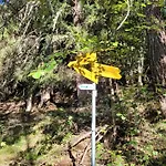 3.5-zimmer Primeli Fieschertal