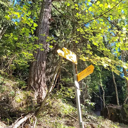 Apartament 3.5-zimmer Primeli *