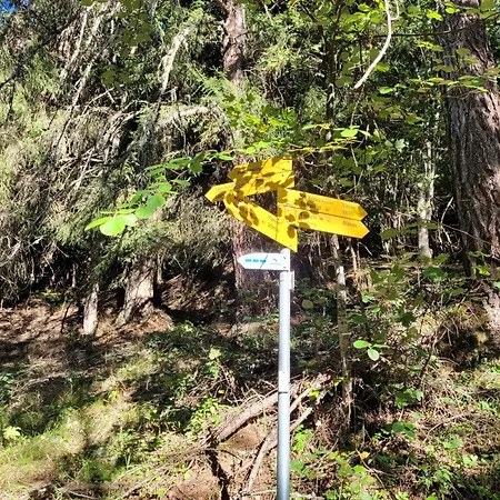 3.5-zimmer Primeli Fieschertal