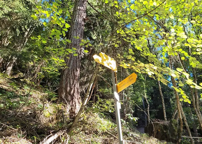 Lejlighed 3.5-zimmer Primeli *