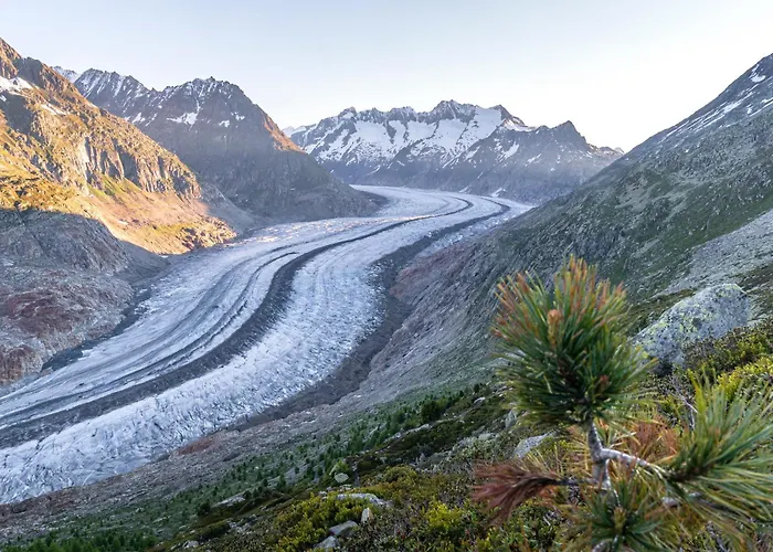 3.5-zimmer Primeli Fieschertal