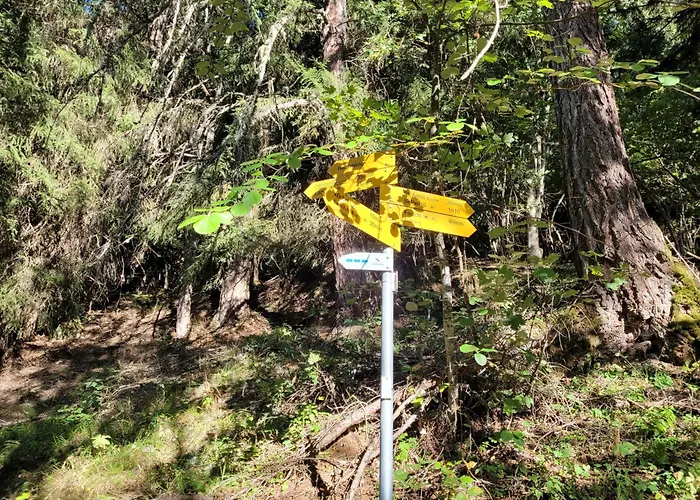 3.5-zimmer Primeli Fieschertal