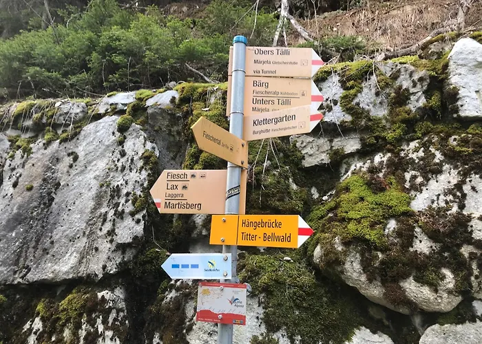 3.5-zimmer Primeli * Fieschertal