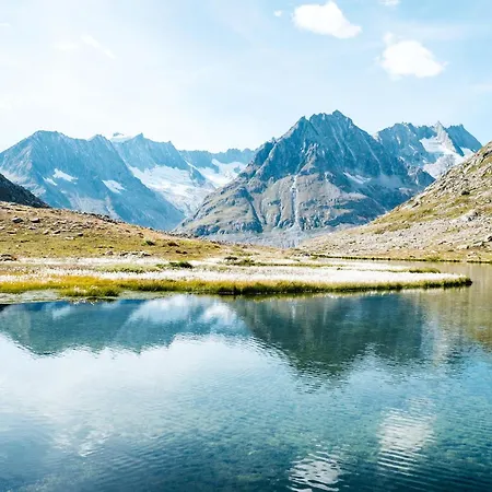 Appartement 3.5-zimmer Primeli