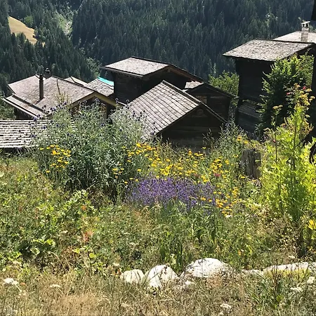 Διαμέρισμα 3.5-zimmer Primeli Fieschertal